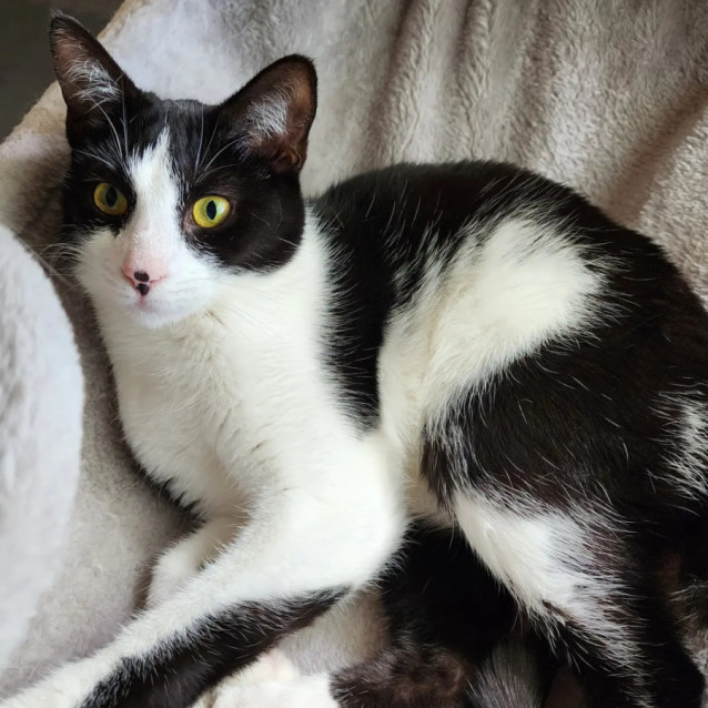 Photo of Roxy 