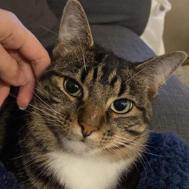 Photo of 🍝Linguine🍝