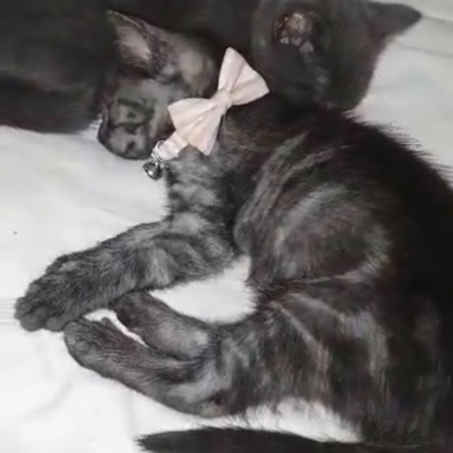 Photo of Sally