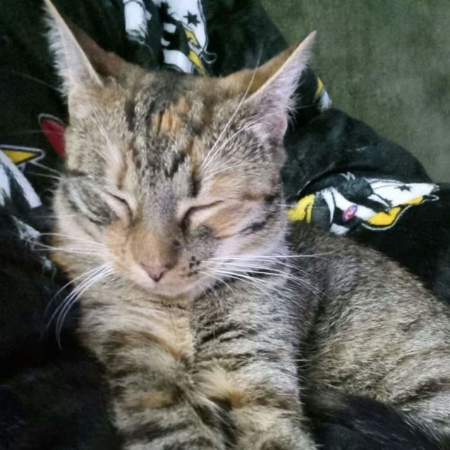 Photo of Luna And Lola