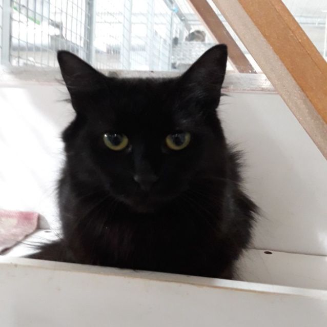 Photo of Momo
