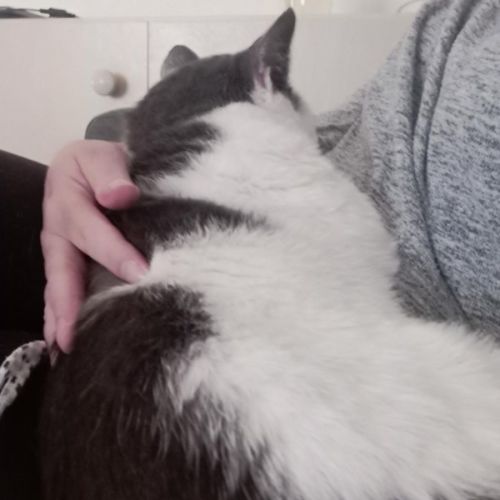 Manny - Located in Eltham