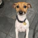 Photo of Miette