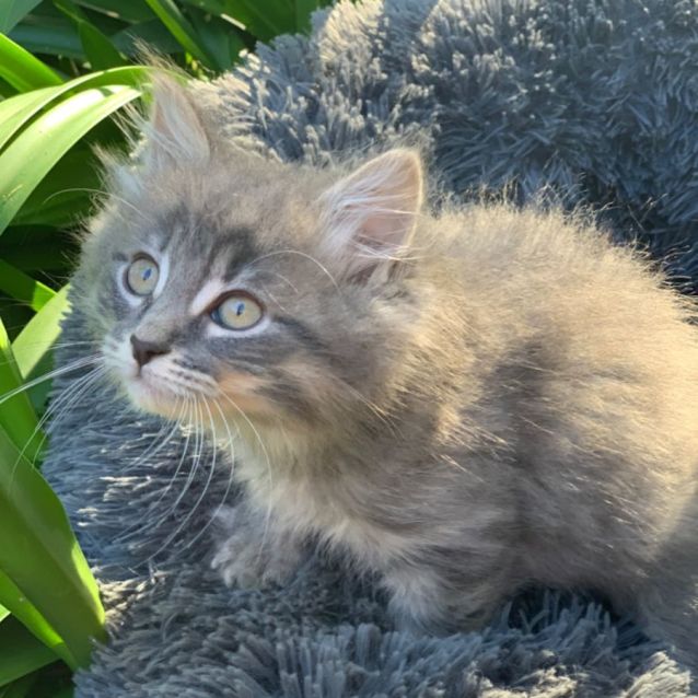 Photo of Millie💕💕💕