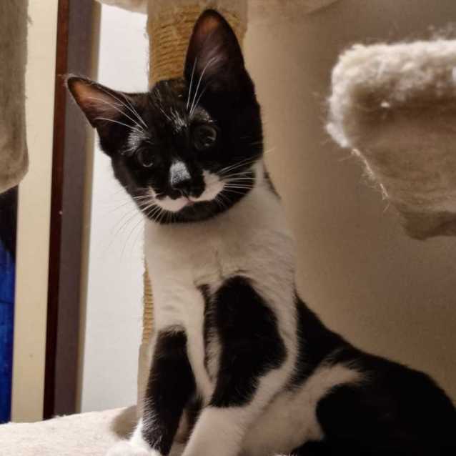 Photo of 💙 Bobby 💙