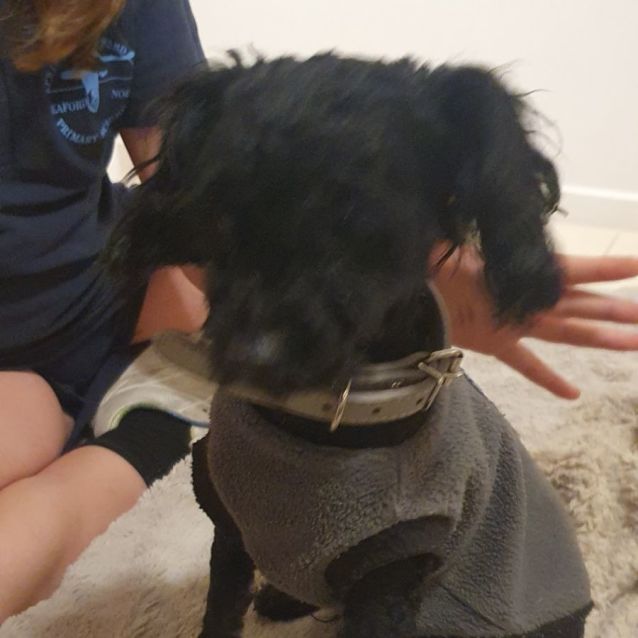 Photo of Barnaby 