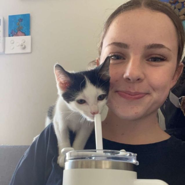 Photo of Pablo ❤️🐾