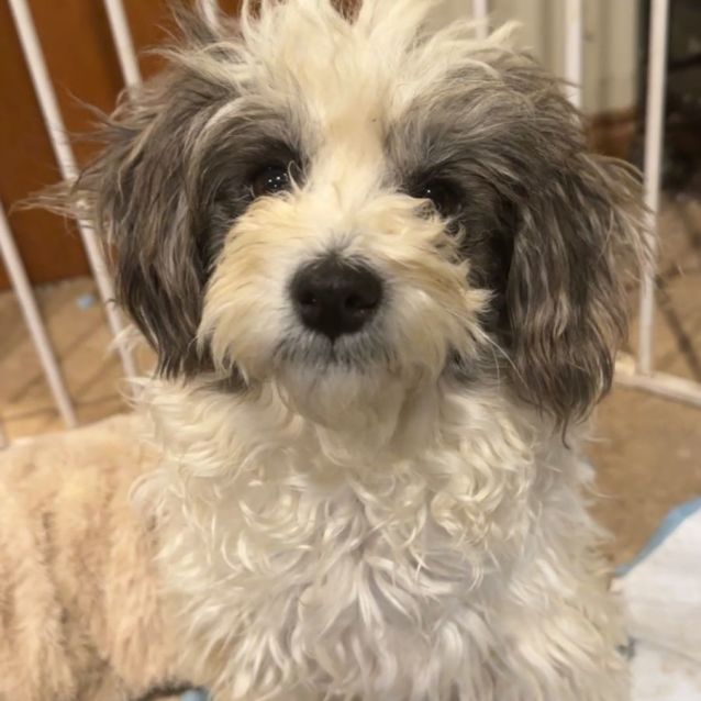 Photo of Mila & Mika