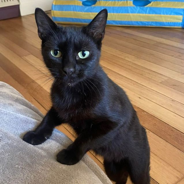 Photo of Allegra 🌹