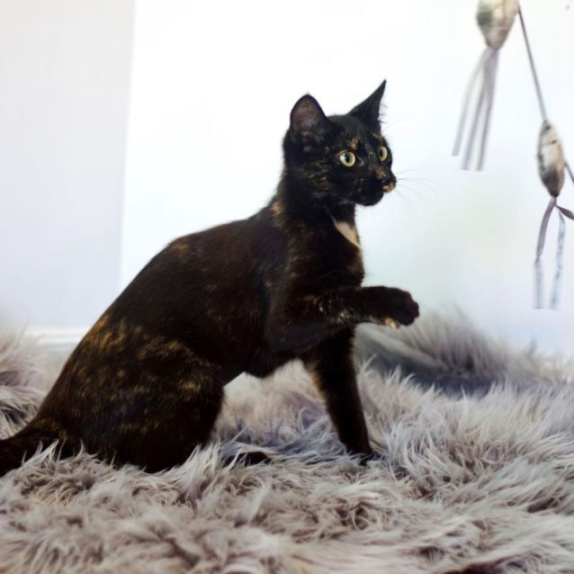 Photo of 💞 Callie 💞