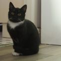 Photo of Skittles 