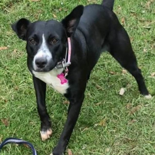 Photo of Tiny Dancer