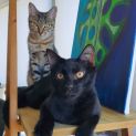 Photo of Marvin (With Lily)