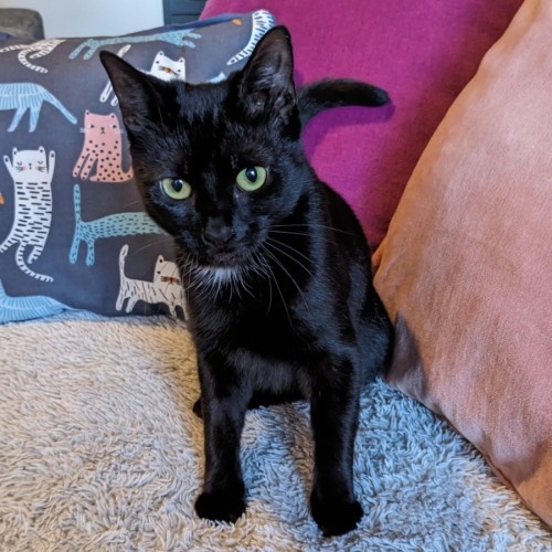 Kora - Located in Coburg