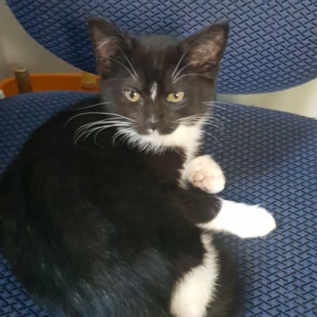 Photo of Pippi