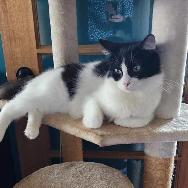 Photo of Nyra
