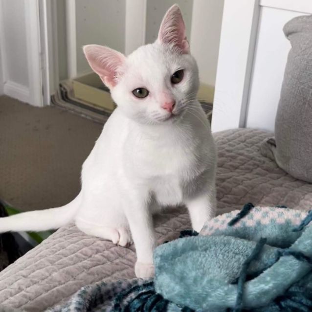 Photo of Checo And Perez 