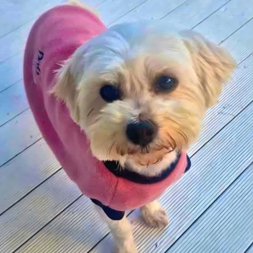 Mia