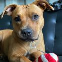 Photo of Maggie