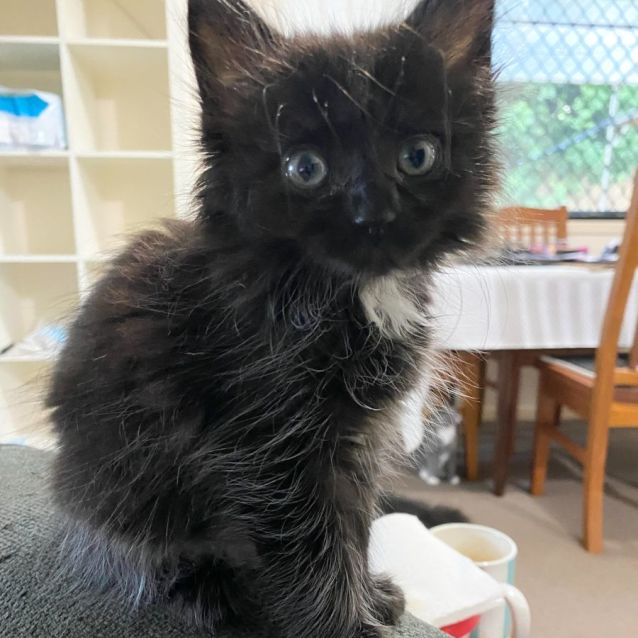 Photo of Maisie
