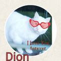 Photo of Dion π€