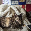 Photo of Maggie