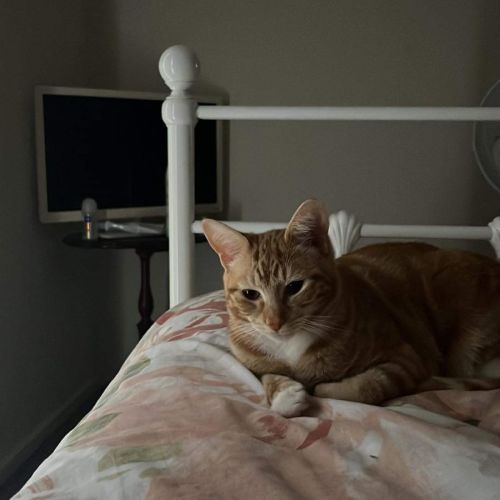 Ginny meet me at Petstock Hastings store 