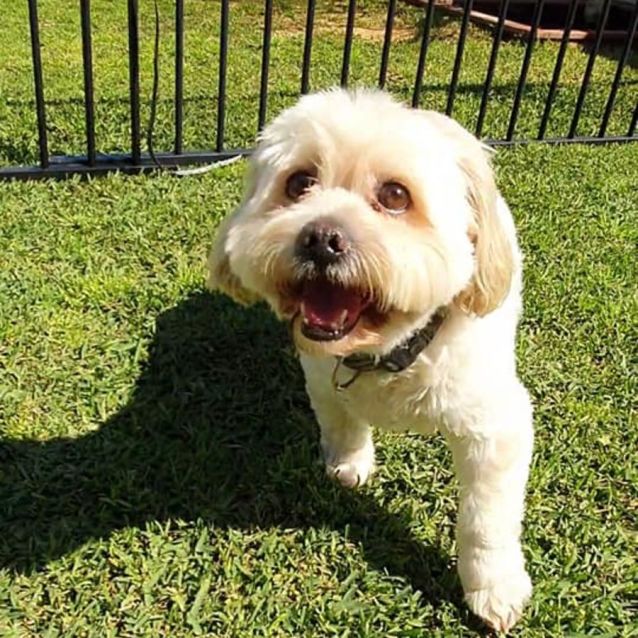 Photo of Oscar Dl2723