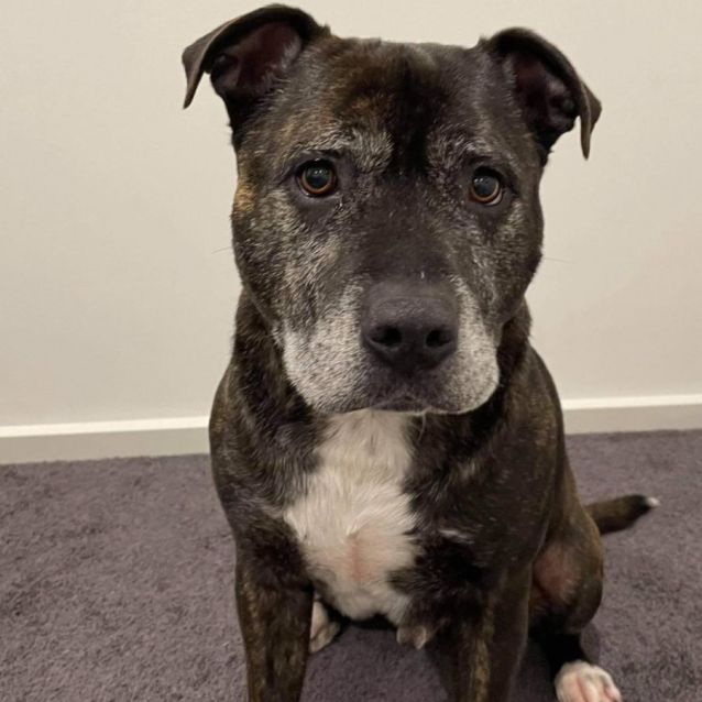 Photo of Bentley And Cooper