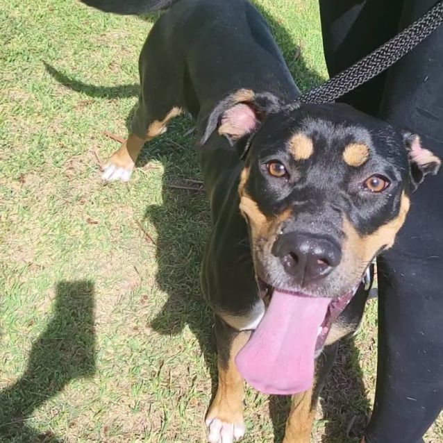 Photo of Jessie Dl2781