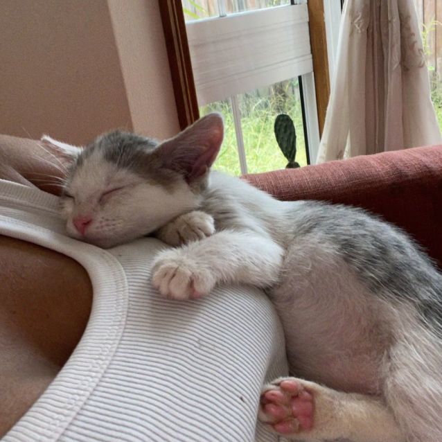 Photo of Bounty ⛵️💙