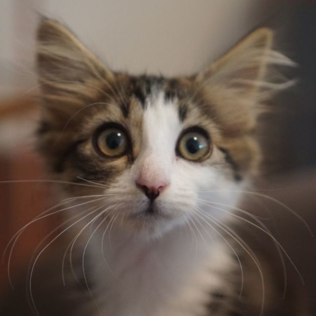 Photo of Bug