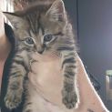 Photo of Lulu