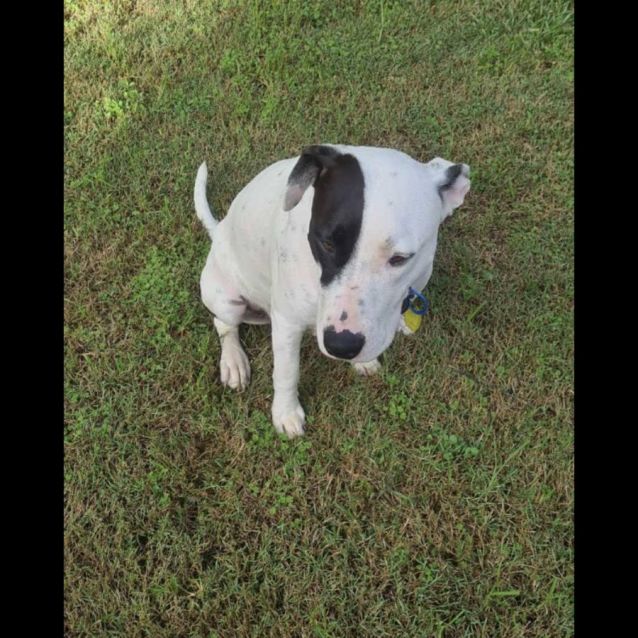 Photo of Versace ❤️