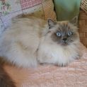 Photo of Milly