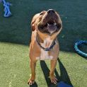 Photo of Xena