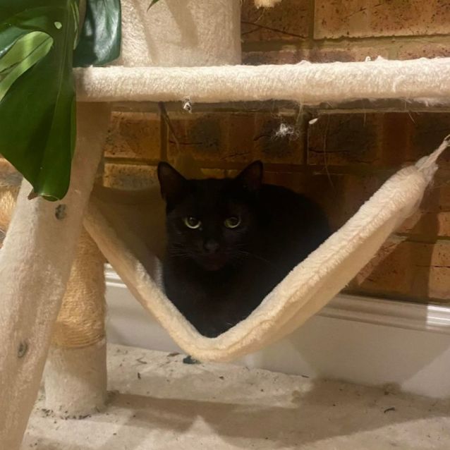 Photo of Allegra 🌹