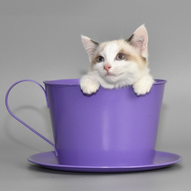 Photo of Halle Berry