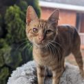 Photo of Marlow