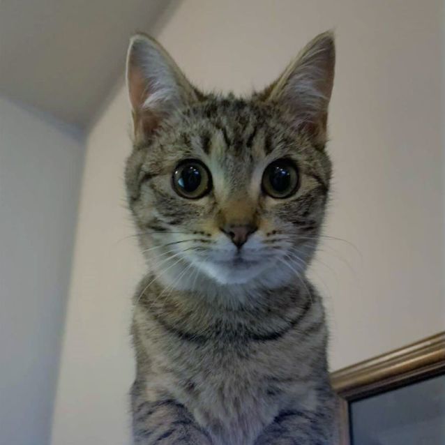 Photo of Layla & Delilah