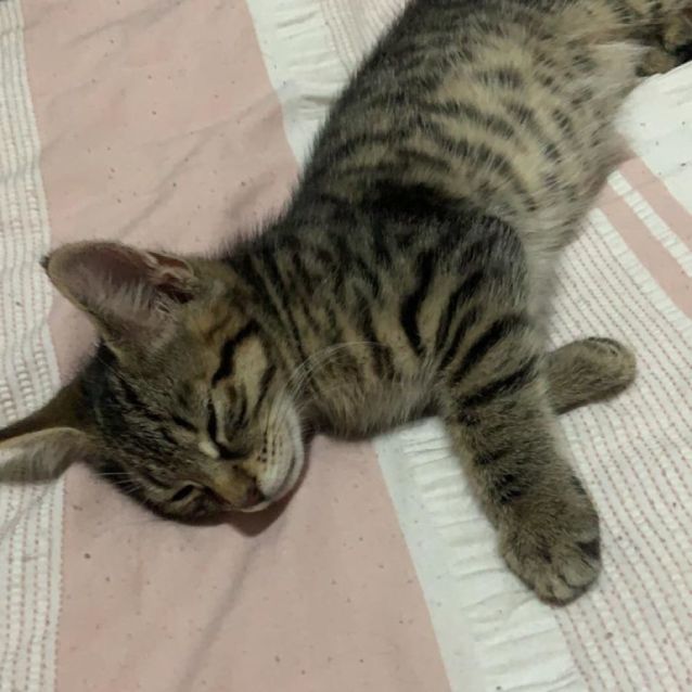 Photo of Charlie