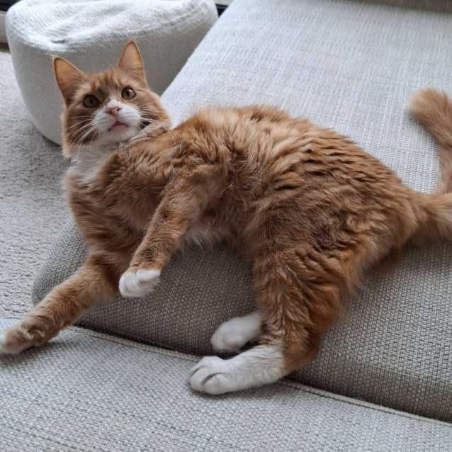 Photo of Misty & Brock