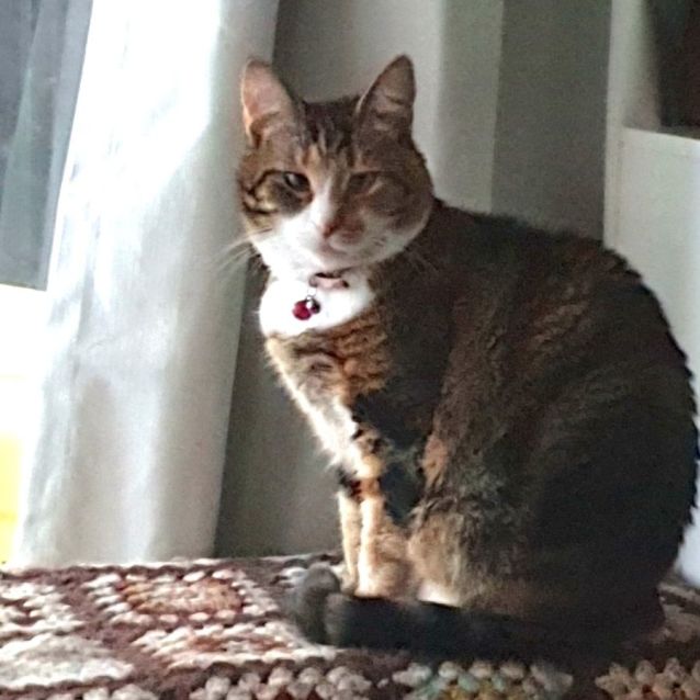 Photo of Gertrude Winifred (Gert) & The Dentist (Denny)