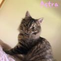 Photo of Archie And Astra