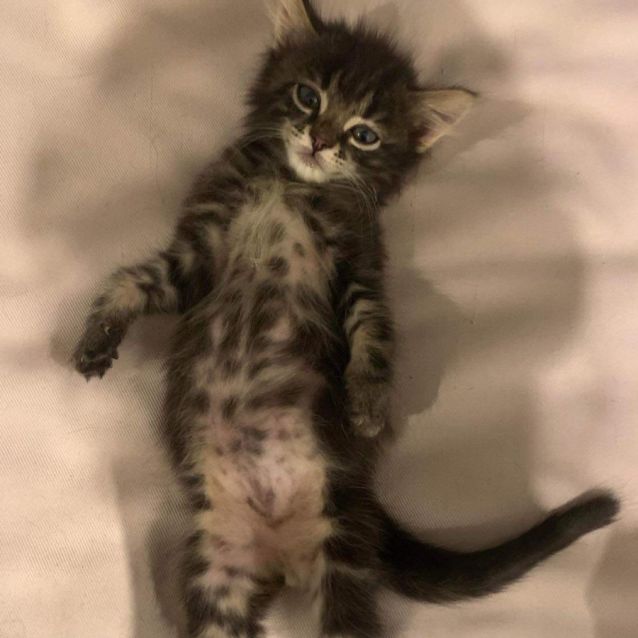 Photo of Sporty Spice 