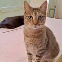 Photo of Sandy