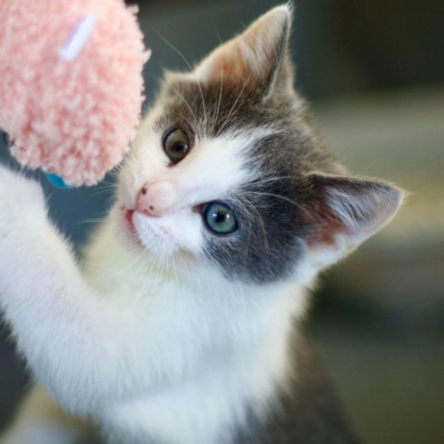 Photo of ❤️ Cj ❤️