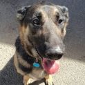 Photo of Elsa