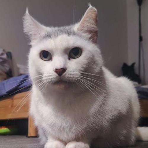 No photo for Arya   Curuba