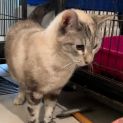 Photo of Jellybean